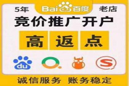百度竞价与搜索引擎优化（SEO）的协同效应案例